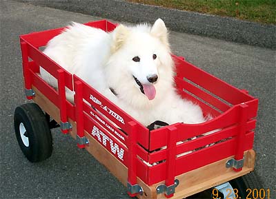 Kisha riding in wagon