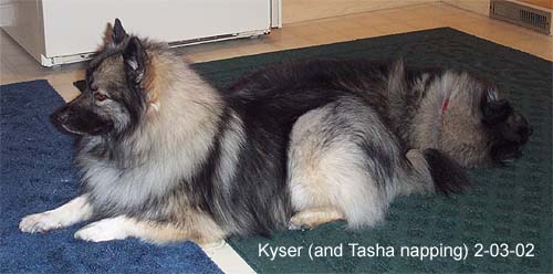 Kyser and Tasha