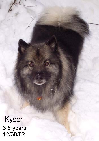 Kyser in the Snow 2002