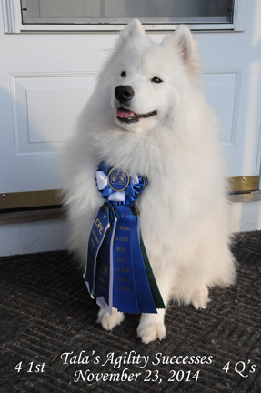 Tala with some of her ribbons