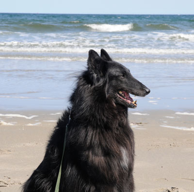 Player at the beach