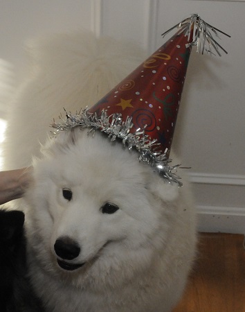Tala's first birthday