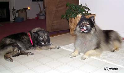 Tasha and Keesha