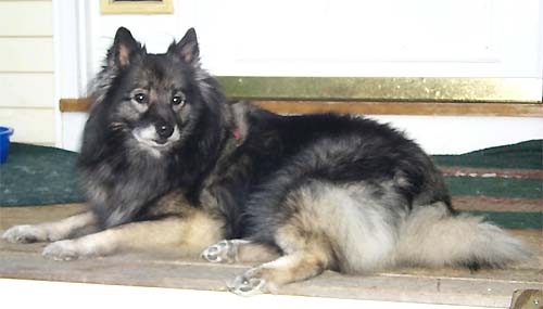 Tasha on Porch